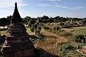 Bagan Myanmar. Cluster of red brick temples near Min myaw yaza  